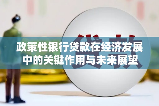 平鲁政策性银行贷款在经济发展中的关键作用与未来展望