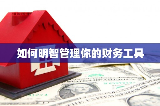 平鲁如何明智管理你的财务工具