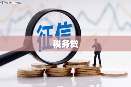 平鲁税务贷