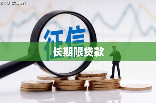 平鲁长期限贷款