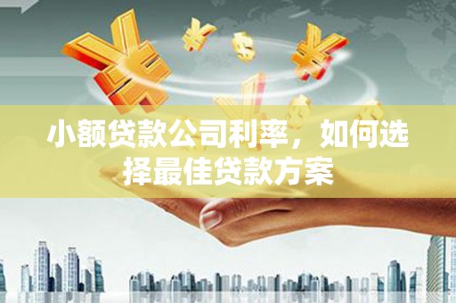 平鲁小额贷款公司利率，如何选择最佳贷款方案