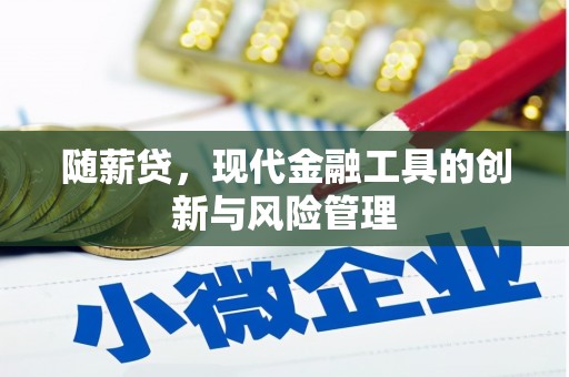 平鲁随薪贷，现代金融工具的创新与风险管理