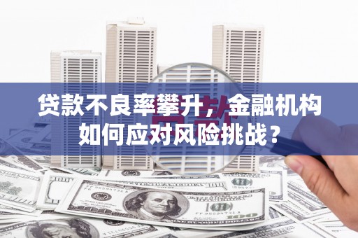 平鲁贷款不良率攀升，金融机构如何应对风险挑战？