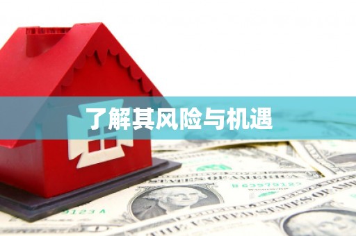 平鲁了解其风险与机遇