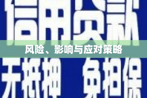 平鲁风险、影响与应对策略