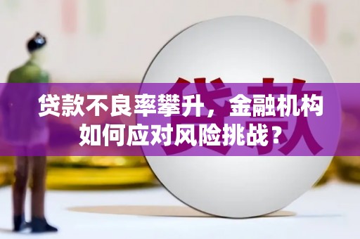 平鲁贷款不良率攀升，金融机构如何应对风险挑战？