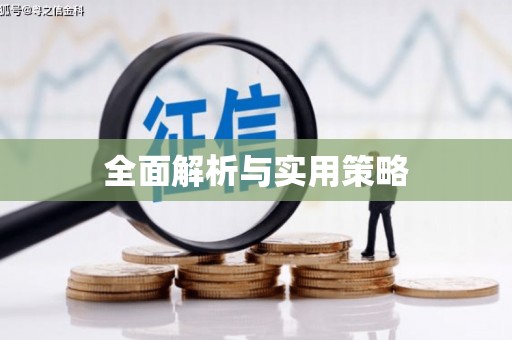 平鲁全面解析与实用策略