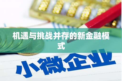 平鲁机遇与挑战并存的新金融模式