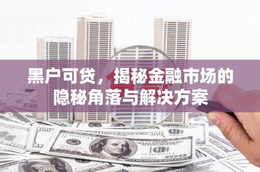 平鲁黑户可贷，揭秘金融市场的隐秘角落与解决方案