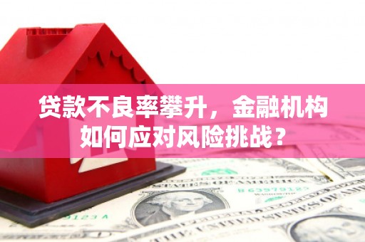 平鲁贷款不良率攀升，金融机构如何应对风险挑战？