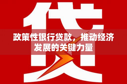 平鲁政策性银行贷款，推动经济发展的关键力量