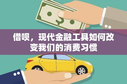 平鲁借呗，现代金融工具如何改变我们的消费习惯