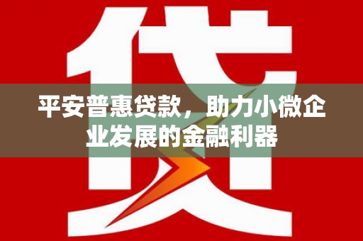 平鲁平安普惠贷款，助力小微企业发展的金融利器