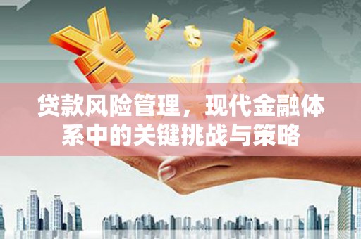 平鲁贷款风险管理，现代金融体系中的关键挑战与策略