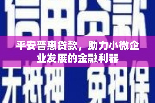 平鲁平安普惠贷款，助力小微企业发展的金融利器
