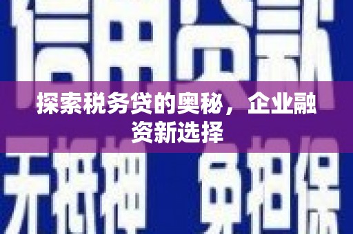 平鲁探索税务贷的奥秘，企业融资新选择