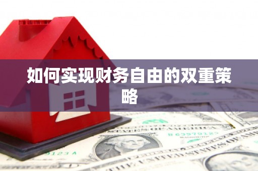 平鲁如何实现财务自由的双重策略