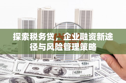 平鲁探索税务贷，企业融资新途径与风险管理策略