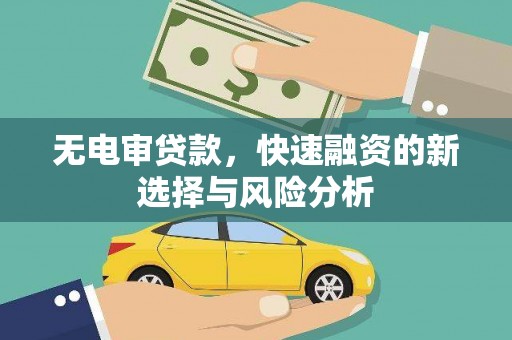 平鲁无电审贷款，快速融资的新选择与风险分析