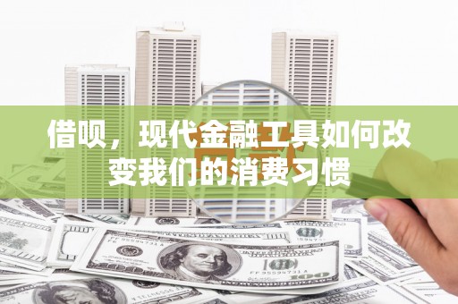 平鲁借呗，现代金融工具如何改变我们的消费习惯