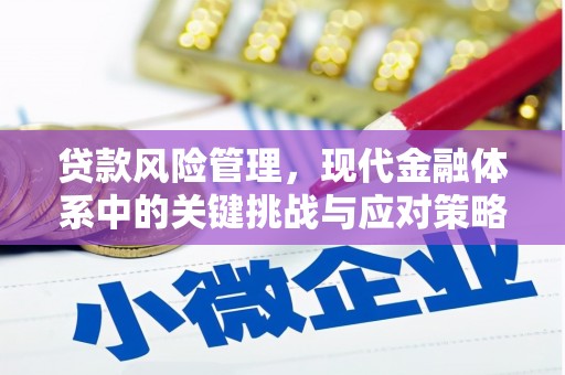 平鲁贷款风险管理，现代金融体系中的关键挑战与应对策略