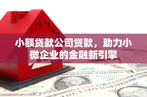 平鲁小额贷款公司贷款，助力小微企业的金融新引擎