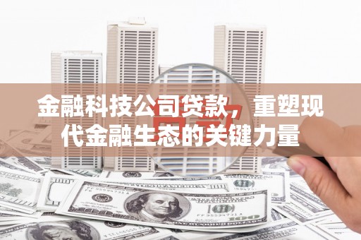 平鲁金融科技公司贷款，重塑现代金融生态的关键力量