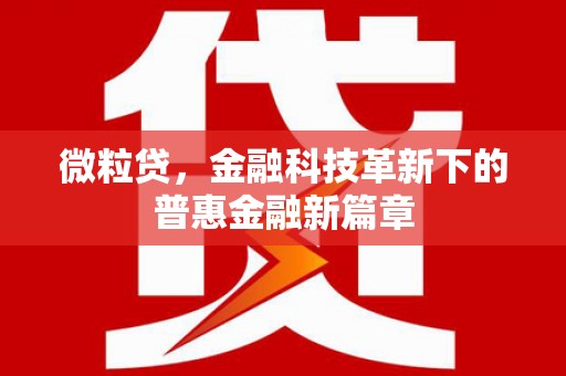 平鲁微粒贷，金融科技革新下的普惠金融新篇章