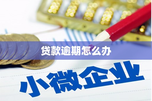 平鲁贷款逾期怎么办