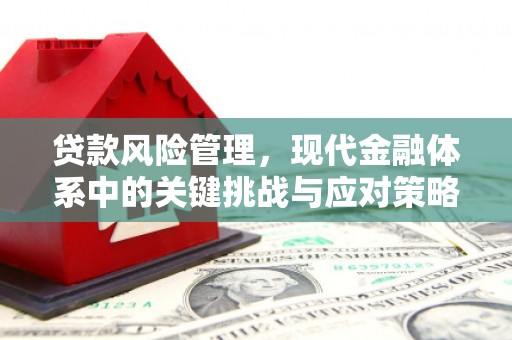 平鲁贷款风险管理，现代金融体系中的关键挑战与应对策略