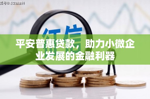 平鲁平安普惠贷款，助力小微企业发展的金融利器